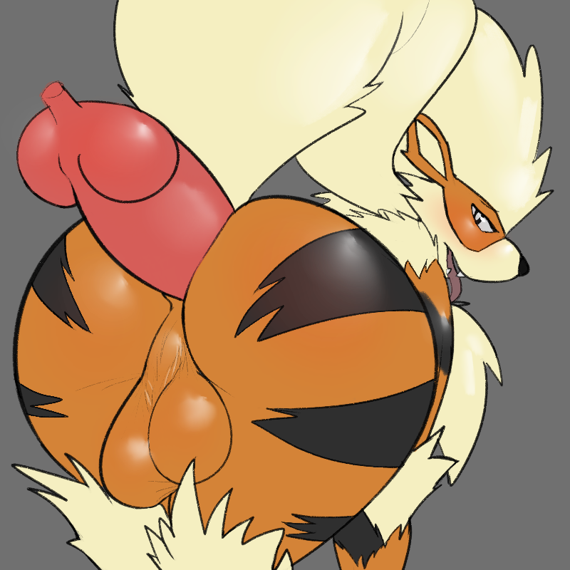 AGNPH Gallery Anal Anal Penetration Arcanine Balls Butt Clade Gay Male Penis