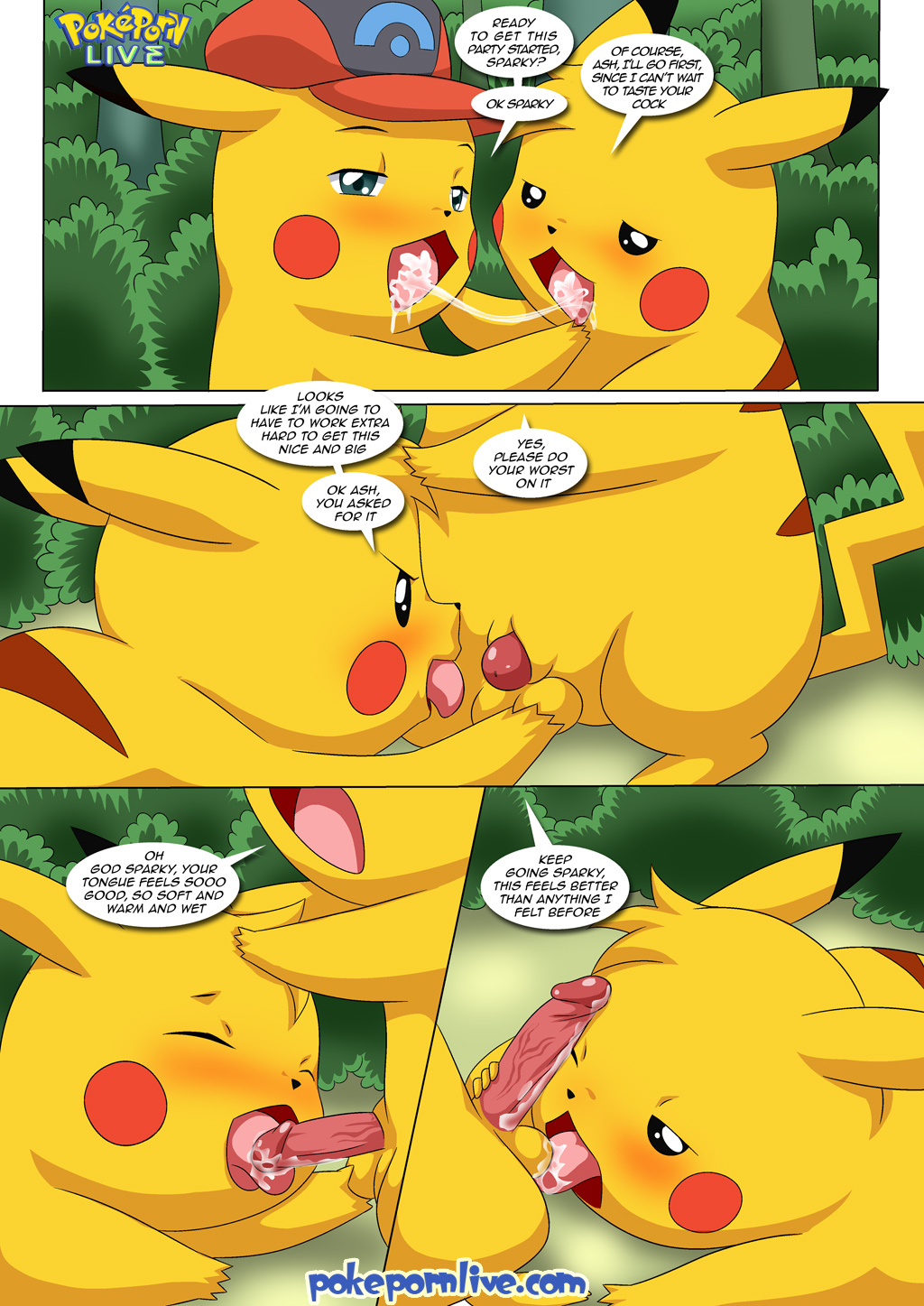 1076077 Pikachu Porkyman Shnider The Kinda Large Pokemon,Ash And Misty Hent...