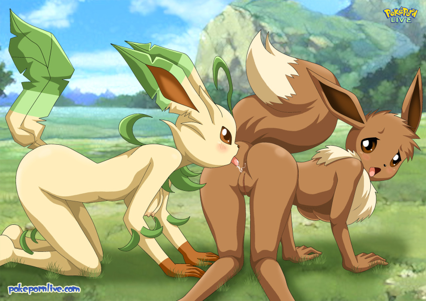 Agnph Gallery 119587 Anal Anthro Bbmbbf Breasts Eevee Eeveelution Female Leafeon Lesbian